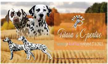 Titara's kennel